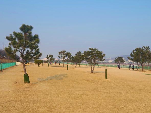 NSP통신-안동시 2026년부터 파크골프장 시 직영 운영, 시민 누구나 차별 없이 즐기는 열린 공간으로 운영 논란 해소하고 공공체육시설로서 신뢰 회복 (사진 = 안동시)