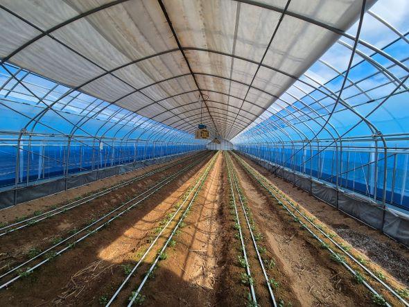 NSP통신-봉화군 2026년 가업승계 우수농업인 정착지원사업 신청접수, 代를 잇는 가업승계농 육성, 지속가능한 농업경영환경 조성 (사진 = 봉화군)