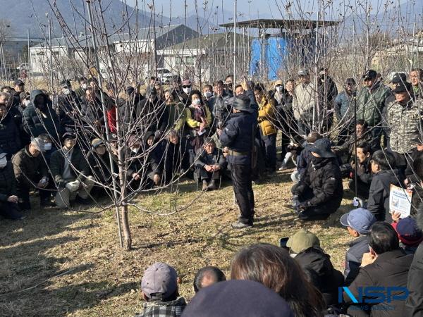 NSP통신-문경시농업기술센터는 오는 8일부터 9일까지 일본의 사과 재배 분야 전문가를 초청해 지역 농업인을 대상으로 선진 사과 재배 기술 교육을 한다. (사진 = 문경시)