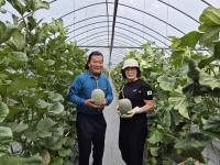 [NSP PHOTO]구미시, 황제가 먹던 하미과 멜론 구미 농업의 전략작목으로 안착