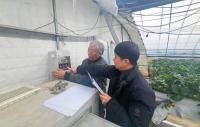 [NSP PHOTO]장성군, 시설원예 농가 현장 기술지원 실시