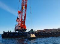 [NSP PHOTO]양양군, 해삼 양식 기반 확충 성과…생산량 30% 증가