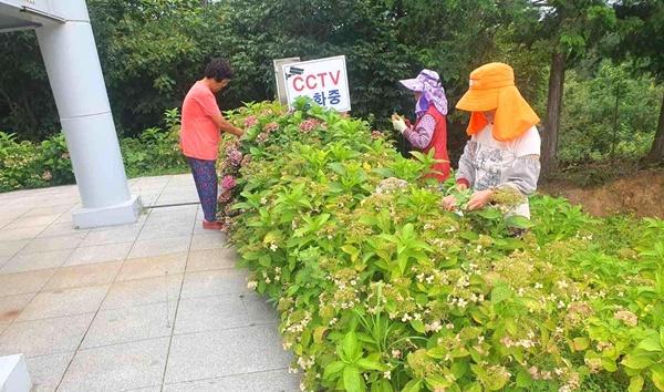 NSP통신- (사진 = 나주시)