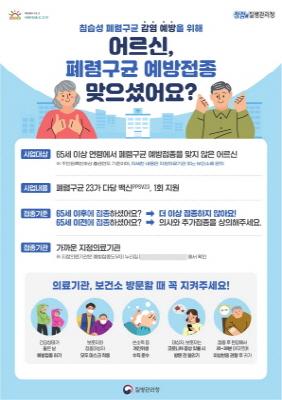 NSP통신-폐렴구균 예방접종 홍보 안내 포스터. (사진 = 평택시)