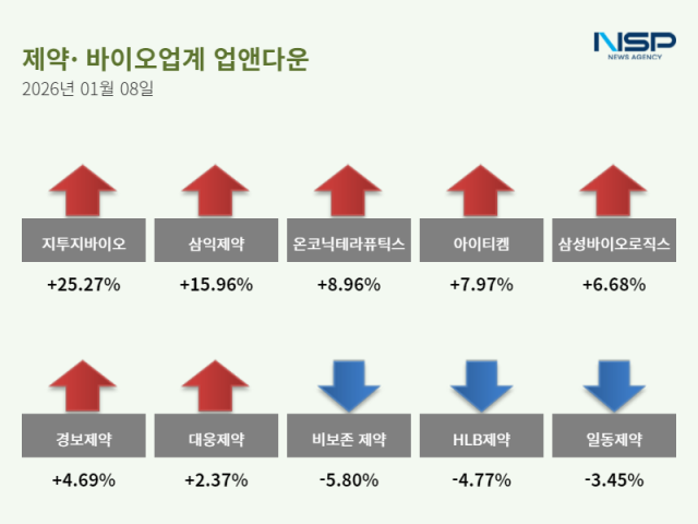 NSP통신- (그래프 = 정송이 기자)