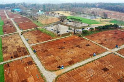 [NSP PHOTO]수원시 새빛 시민농장 체험 텃밭 참여자 모집