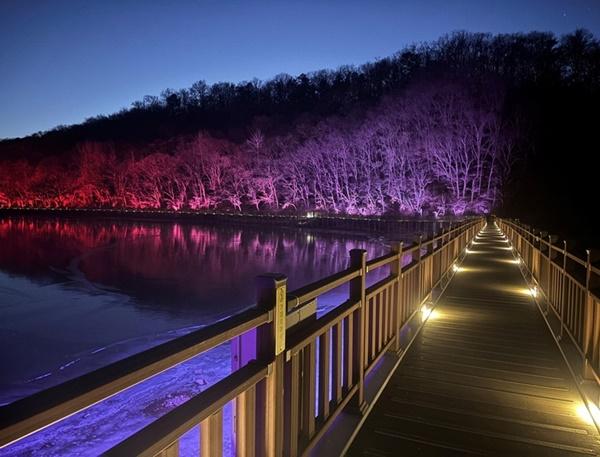 NSP통신-파주 공릉호수 야경 (사진 = 파주시)