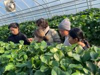 [NSP PHOTO]완주군, 외국인 계절근로자 농작업 기술 현장 지도