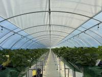 [NSP PHOTO]군산시, 스마트원예 분야 자체 사업 27일까지 신청·접수