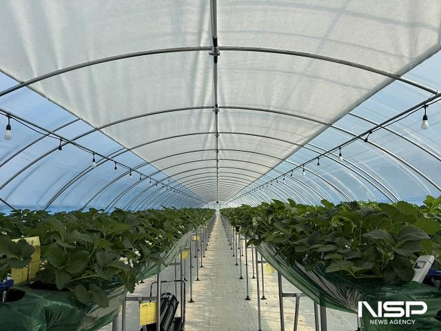 NSP통신- (사진 = 군산시)