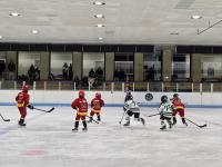 [NSP PHOTO]강릉시, 동계 스토브리그 다변화