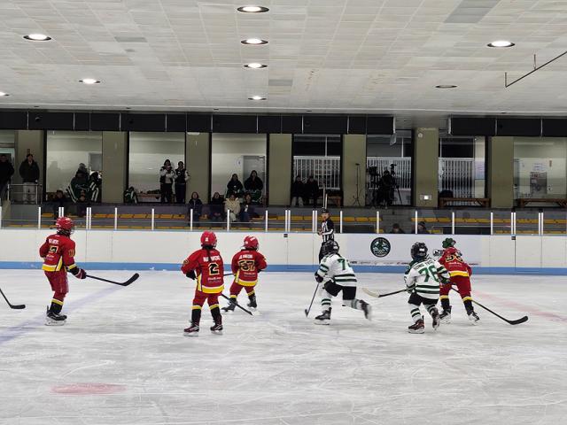NSP통신-강릉시가 아이스하키 동계 스토브리그를 운영하고 있는 모습. (사진 = 강릉시)