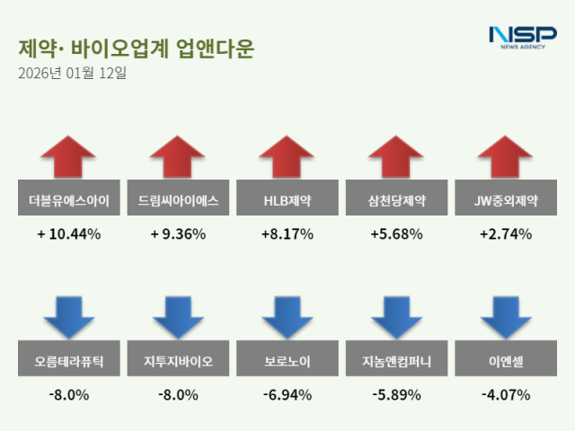 NSP통신- (그래프 = 정송이 기자)