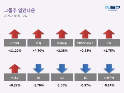 [NSP PHOTO]업앤다운그룹주 상승한화LG