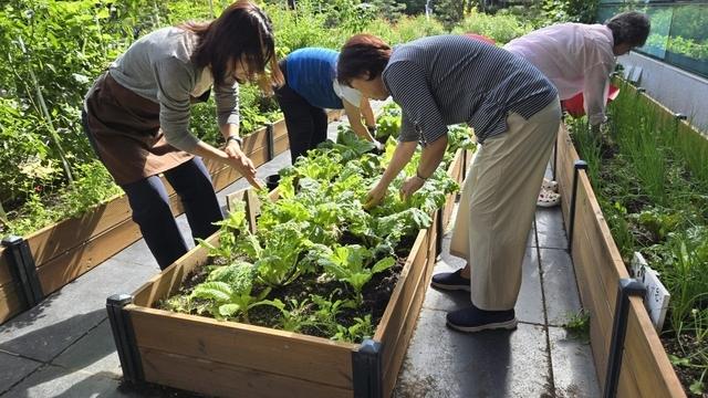 NSP통신-수원시민들이 수원시농업기술센터 치유농업 활성화 사업에 참여하고 있다. (사진 = 수원시)