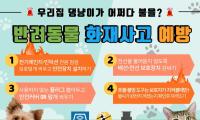 [NSP PHOTO]포항북부소방서, 반려동물 화재 예방 특별 캠페인 실시