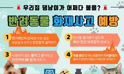 [NSP PHOTO]포항북부소방서 반려동물 화재 예방 특별 캠페인 실시