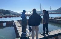 [NSP PHOTO]여수시, 저수온 주의보에 비상 대응 체계 돌입