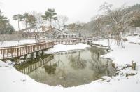 [NSP PHOTO]광양시, 백운산자연휴양림 겨울 웰니스 관광지로 추천