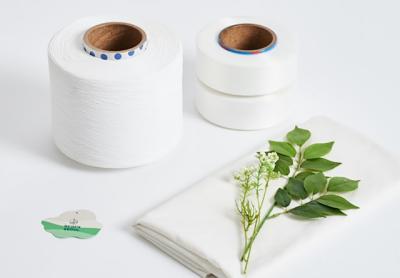 [NSP PHOTO]효성티앤씨 재활용 폴리에스터 리젠 환경표지 인증