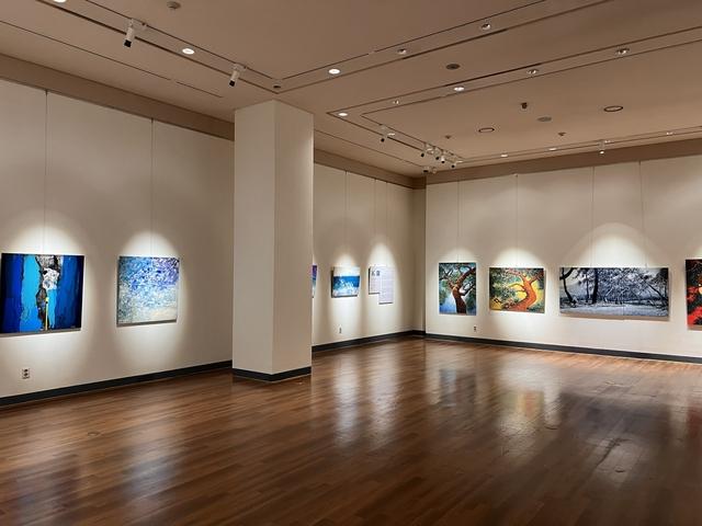 NSP통신-수원의 기억, 삶의 색-전통·자연·일상으로 읽는 현대미술 전시회 모습. (사진 = 수원시)