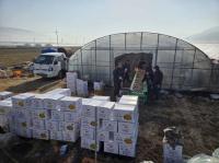 [NSP PHOTO]구례군, 통일감자 수확 현장 컨설팅 추진