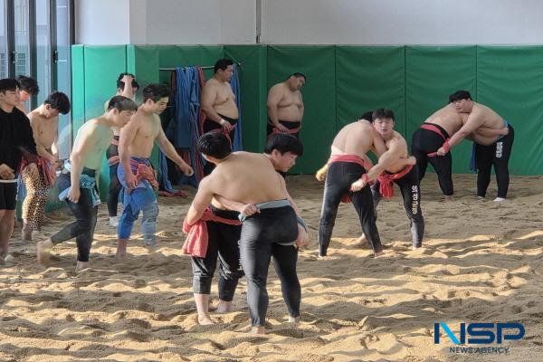 NSP통신-의성군은 의성군씨름훈련장과 의성학생씨름장을 중심으로 지난 12일부터 오는 24일까지 13일간 국내 씨름단 동계 전지훈련을 유치한다고 밝혔다. (사진 = 의성군)
