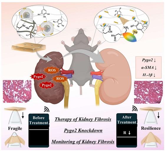 NSP통신- (사진 = 원광대학교)