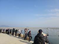 [NSP PHOTO]장흥군. 장흥 매생이 양식장 사진명소로 각광