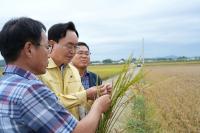 [NSP PHOTO]나주시, 벼 깨씨무늬병 피해 농가에 복구비 12억 6천만 원 지원