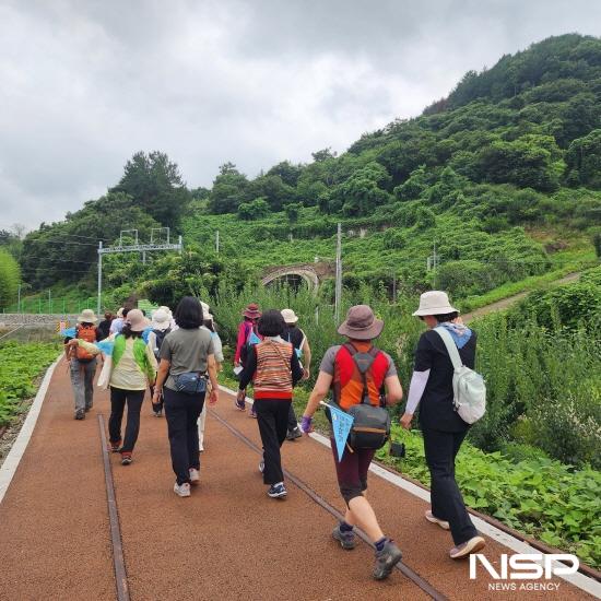 NSP통신-코리아둘레길 남파랑길 광양코스 걷고 있는 탐방객 (= 광양시청)