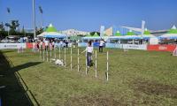 [NSP PHOTO]포항시, 반려동물 친화도시 조성..고품질 친환경 축산 기반 다진다