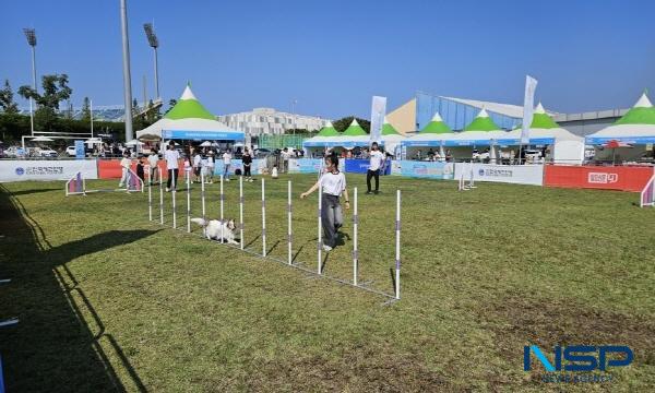 NSP통신-포항시가 올해 유전체 분석과 ICT 기술을 접목한 포항형 한우 개량과 환경 친화적 축산 정책을 본격 추진하며 축산업 경쟁력 강화에 나선다. (사진 = 포항시)