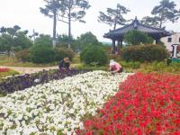 [NSP PHOTO]보성군, 상반기 직접 일자리사업 참여자 모집