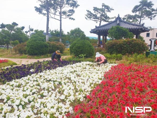 NSP통신-보성군은 오는 1월 30일까지 상반기 직접 일자리사업 참여자를 모집한다 (사진 = 보성군)