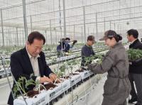 [NSP PHOTO]봉화군, 임대형 스마트팜단지 본격영농 돌입