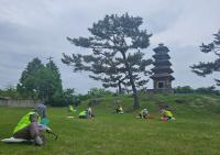 [NSP PHOTO]의성군, 2026년도 노인일자리 사업 본격 시행