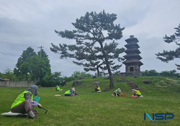 NSP통신-의성군은 지역 어르신들의 건강한 노후생활과 안정적인 소득활동을 지원하기 위해 2월부터 2026년도 노인일자리 사업을 본격 시행한다고 밝혔다. (사진 = 의성군)