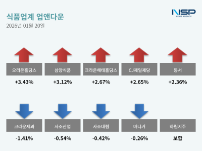 [NSP PHOTO]업앤다운식품주 상승오리온홀딩스크라운제과
