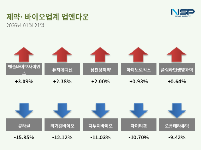 NSP통신- (그래프 = 정송이 기자)