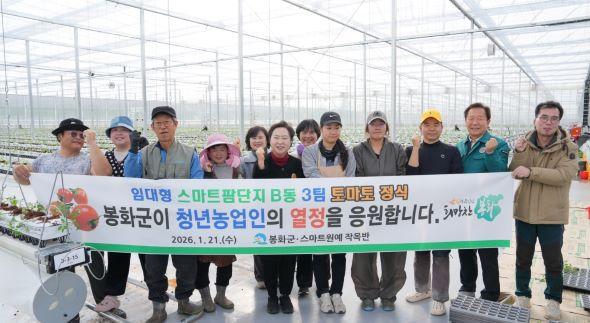 [NSP PHOTO]봉화군, 임대형 스마트팜 단지 토마토 정식 작업 마무리