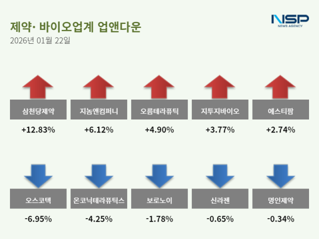 NSP통신- (그래프 = 정송이 기자)