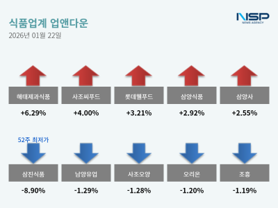 [NSP PHOTO]업앤다운식품주 상승해태제과식품삼진식품