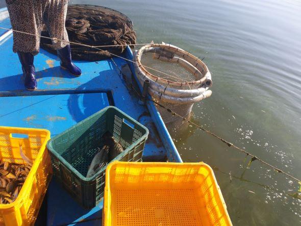 [NSP PHOTO]안동시, 안동호 내수면 어업 폐업보상 시행