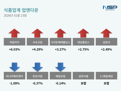 [NSP PHOTO]업앤다운식품주 상승하림지주마니커에프앤지