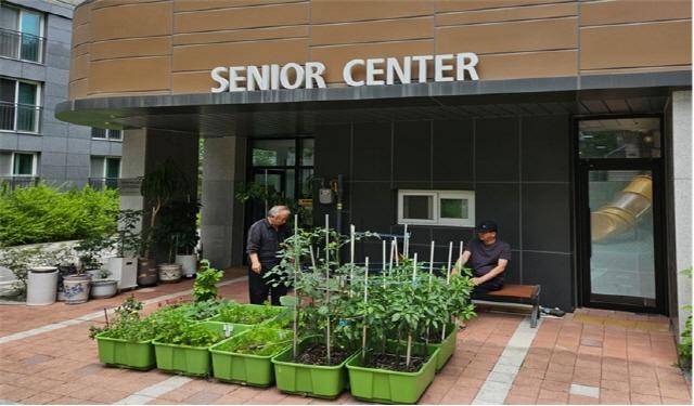 NSP통신-의왕시가 쑥쑥튼튼 상자텃밭 지원사업에 참여할 기관을 모집한다. (사진 = 의왕시)