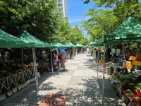 [NSP PHOTO]안성시, 농업인 직거래장터 참여 농가 모집