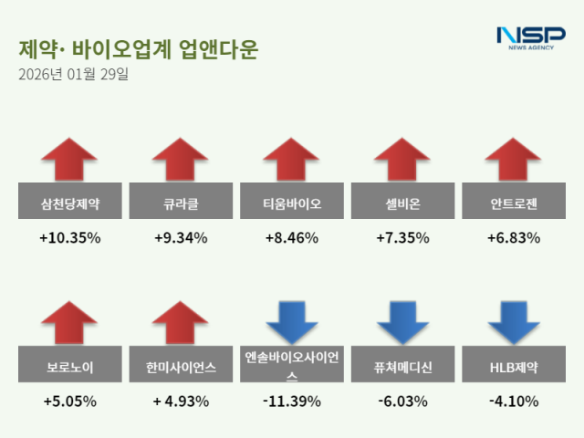 NSP통신- (그래프 = 정송이 기자)