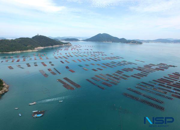 NSP통신- (사진 = 완도군)