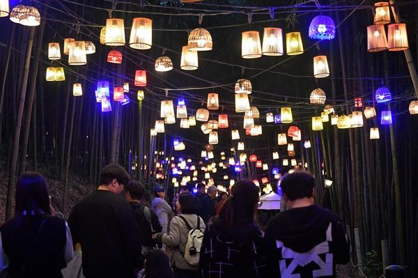 NSP통신- (사진 = 담양군)